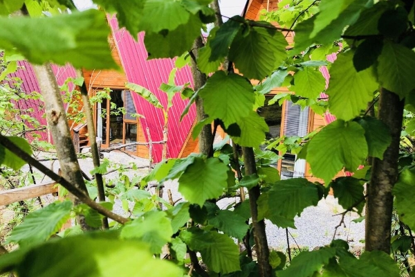 Hotel Tabiat Bungalows
